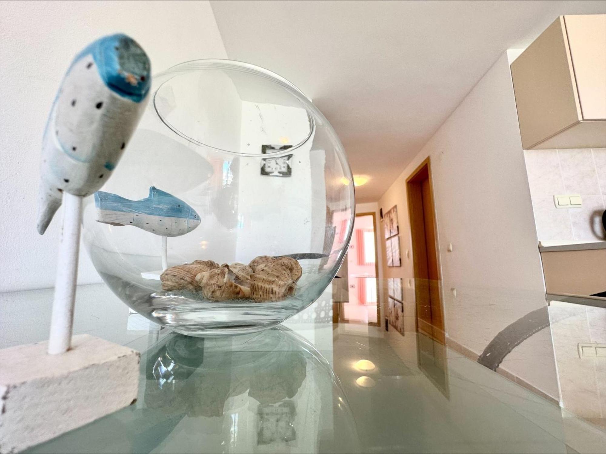 Julia Family - Menada Apartments Σάνι Μπιτς Εξωτερικό φωτογραφία